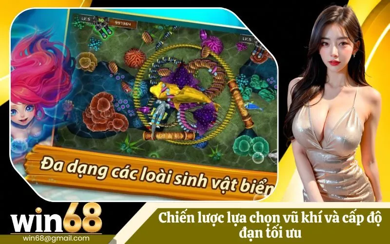 Chiến lược lựa chọn vũ khí và cấp độ đạn tối ưu