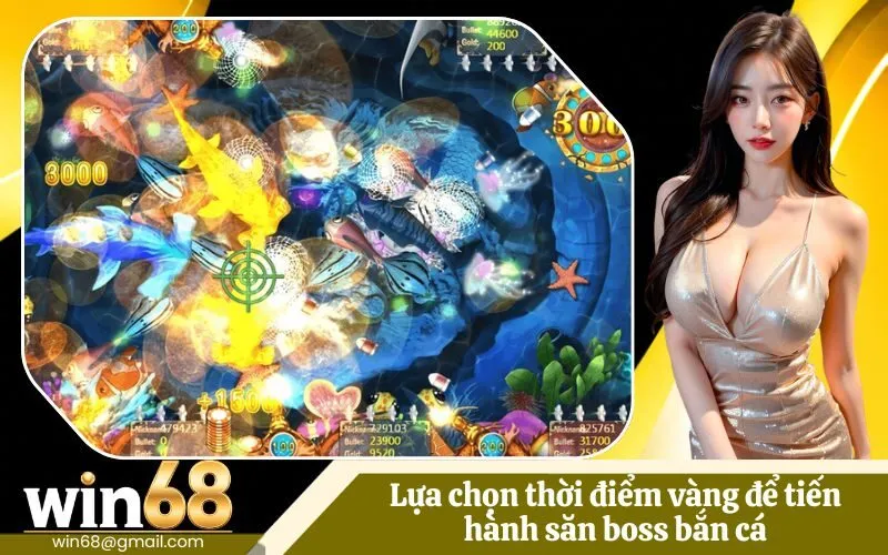 Lựa chọn thời điểm vàng để tiến hành săn boss bắn cá