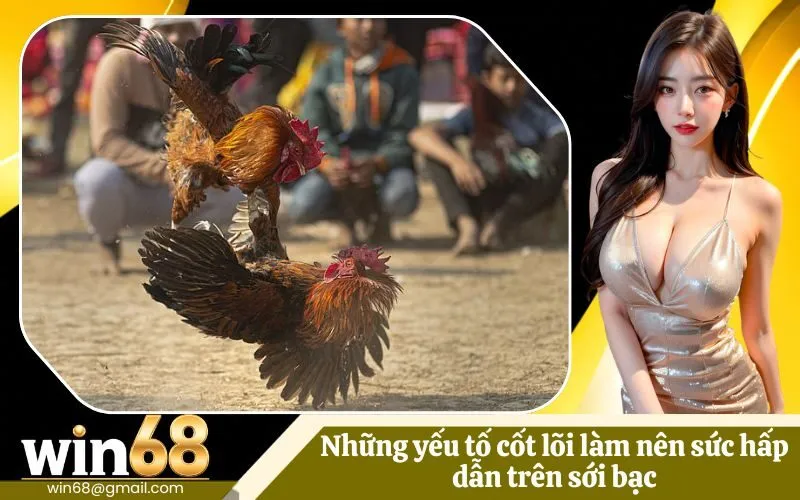Những yếu tố cốt lõi làm nên sức hấp dẫn trên sới bạc
